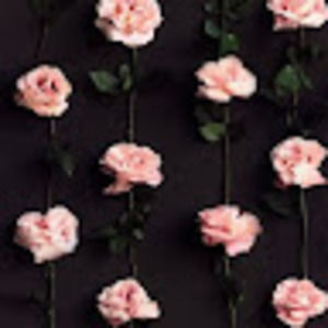 Meet your Posher, Minhas